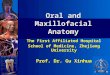 The First Affiliated Hospital School of Medicine, Zhejiang University Prof. Dr. Gu Xinhua Oral and Maxillofacial Anatomy