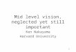 1 Mid level vision, neglected yet still important Ken Nakayama Harvard University