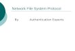 Network File System Protocol By Authentication Experts