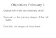 Objectives February 1 Explain why cells are relatively small Summarize the primary stages of the cell cycle. Describe the stages of interphase