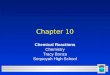 1 Chapter 10 Chemical Reactions Chemistry Tracy Bonza Sequoyah High School