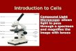Introduction to Cells Ch. 7 Ch. 7 Compound Light Microscope: allows light to pass through a specimen and magnifies the image with lenses Compound Light