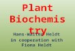 Plant Biochemistry Hans-Walter Heldt in cooperation with Fiona Heldt 1