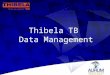 Thibela TB Data Management. Goldfields Anglo Harmony TSIMS INFORM Intervention Baseline FIND TCAS INH Adherence Intervention Baseline FIND TCAS Data Sources