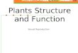 Plants Structure and Function Sexual Reproduction