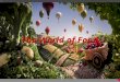 The World of Food.  Food in the past  History of the food  Healthy or unhealthy food  Food groups  Eating out  Everybody eat?