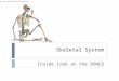 Skeletal System Inside look at the BONES Image from: 