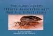 Arlette Hernandez University of San Francisco. Objectives  Explaining the biology of bed bugs.  Identifying infestations.  Examining the usage of Propoxur