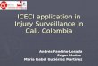 ICECI application in Injury Surveillance in Cali, Colombia Andrés Fandiño-Losada Edgar Muñoz María Isabel Gutiérrez Martínez