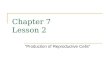 Chapter 7 Lesson 2 “Production of Reproductive Cells”