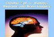 Chapter 2 pt. 1: Biology, Neurons, and Brain Imagery