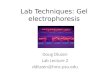 Lab Techniques: Gel electrophoresis Doug Dluzen Lab Lecture 2 ddluzen@hmc.psu.edu