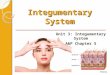 Integumentary System Unit 3: Integumentary System A&P Chapter 5