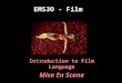 EMS3O - Film Introduction to Film Language Mise En Scene