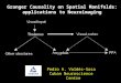Granger Causality on Spatial Manifolds: applications to Neuroimaging Pedro A. Valdés-Sosa Cuban Neuroscience Centre