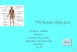The human body quiz Vicenzo e Mateus Teachers: Cristiane Ely Lemke, Jaqueline Grassmann and Leila Reis 3rd B start