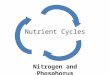 Nutrient Cycles Nitrogen and Phosphorus. WHY DO WE NEED NITROGEN?? – Nitrogen is needed to make up DNA and protein! In animals, proteins are vital for