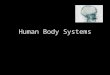 Human Body Systems. The human body is one of the most studied, but least understood biochemical miracles in the universe. Modern medical scientists tell