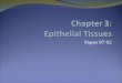 Pages 87-92. Epithelial Tissues Locations: Body coverings Body linings Glandular tissue Functions: Protection Absorption Filtration Secretion © 2015 Pearson