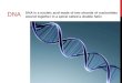 DNA DNA is a nucleic acid made of two strands of nucleotides wound together in a spiral called a double helix