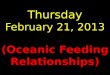 Thursday February 21, 2013 (Oceanic Feeding Relationships)