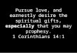 Pursue love, and earnestly desire the spiritual gifts, especially that you may prophesy. 1 Corinthians 14:1