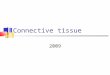 Connective tissue 2009. Connective tissue Connective tissue consists of cells and extracellular matrix Connective tissue proper Cartilage Bone Adipose