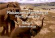 Pleistocene Mammals of North America Mike Hils Palaeontology