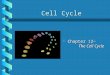 Cell Cycle b Chapter 12~ The Cell Cycle. Cell Division: Key Roles b Genome: cell’s genetic information b Somatic (body cells) cells b Gametes (reproductive
