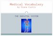 THE SKELETAL SYSTEM Medical Vocabulary by Diana Curtis