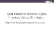 Grid Enabled Neurosurgical Imaging Using Simulation 