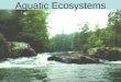 Aquatic Ecosystems. 4 things determine aquatic ecosystems: 1.Depth 2.Flow 3.Temperature 4.Chemistry