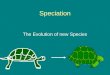 Speciation The Evolution of new Species. Speciation The formation of new species from existing species Macroevolution Species = population/group in nature
