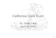 California Gold Rush By: Zelda Zane April 26, 2007