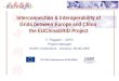 FP6−2004−Infrastructures−6-SSA-026634 Interconnection & Interoperability of Grids between Europe and China the EUChinaGRID Project F. Ruggieri – INFN Project