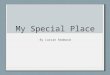My Special Place By Lorcan Redmond. The Place I’ve Chosen is… My yard… Full of memories and special times from birthday parties to “Sporting Tournaments”