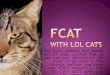 Get your groans and moans out of your system now so you can pay attention! We need to go over a few things before you take the FCAT! Hopefully the LOL