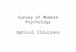 Survey of Modern Psychology Optical Illusions. Illusions generally happen when: The stimulus is unclear Information is missing