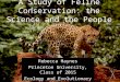 A Study of Feline Conservation: the Science and the People Rebecca Haynes Princeton University, Class of 2015 Ecology and Evolutionary Biology Environmental