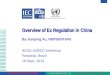 Www.nepsi.org.cn  Presented by Prof. Xu Jianping, NEPSI, Shanghai, China People for Quality & Safety Overview of Ex Regulation in China