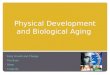 Physical Development and Biological Aging  Body Growth and Change  The Brain  Sleep  Longevity