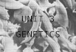 UNIT 3 GENETICS. Chapter 6 Meiosis and Mendel