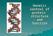 AS Biology. Gnetic control of protein structure and function Genetic control of protein structure and function