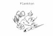 Plankton. Marine life 3 categories: 1.Benthos: bottom dwellers; sponges, crabs 2.Nekton: strong swimmers- whales, fish, squid 3.Plankton: animal/plants