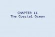 CHAPTER 11 The Coastal Ocean. Overview Coastal waters support about 95% of total biomass in ocean Coastal waters support about 95% of total biomass in