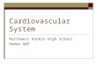 Cardiovascular System Northwest Rankin High School Human A&P