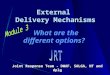 1 External Delivery Mechanisms Joint Response Team - DWAF, SALGA, NT and dplg What are the different options?