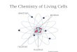 The Chemistry of Living Cells. What are ATOMS? Atoms are the basic building blocks of matter that make up everyday objects. A desk, the air, even you