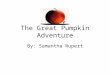 The Great Pumpkin Adventure By: Samantha Rupert. It was a sunny fall day and at the McDaniel Farm all the children were sleeping