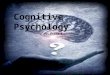 By: Group 4 Cognitive Psychology. Cognition Power of suggestion Repressed memory Neuroscience Philosophy Linguistics Key Terms